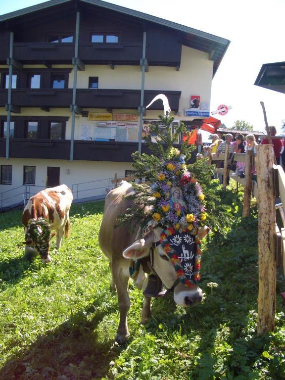 Moida-ferienwohnung Apartmán Fügen