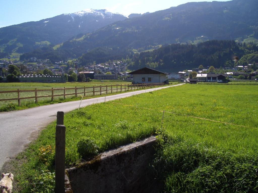 Apartment Moida-ferienwohnung